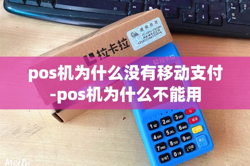 pos机为什么没有移动支付-pos机为什么不能用