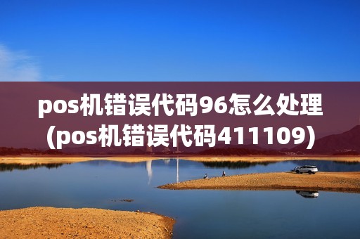 pos机错误代码96怎么处理(pos机错误代码411109)