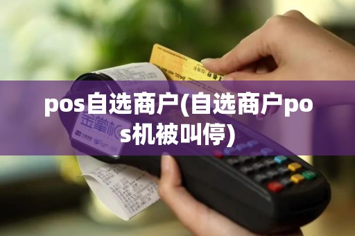 pos自选商户(自选商户pos机被叫停)
