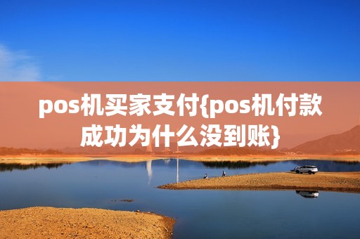 pos机买家支付{pos机付款成功为什么没到账}
