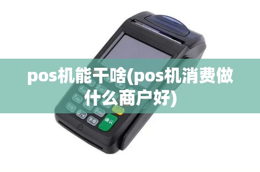 pos机能干啥(pos机消费做什么商户好)