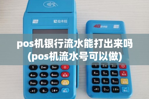 pos机银行流水能打出来吗(pos机流水号可以做)