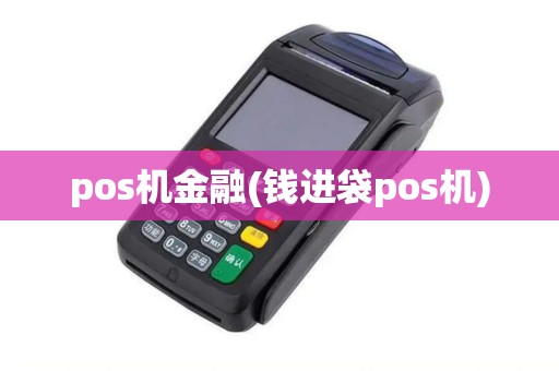 pos机金融(钱进袋pos机)
