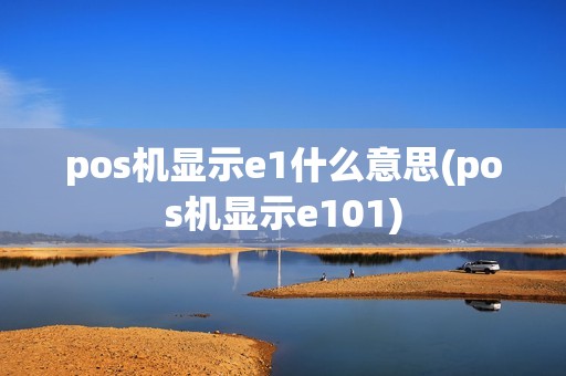 pos机显示e1什么意思(pos机显示e101)