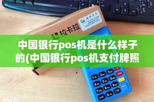 中国银行pos机是什么样子的(中国银行pos机支付牌照)
