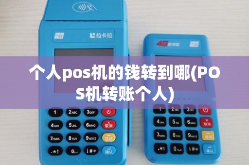 个人pos机的钱转到哪(POS机转账个人)