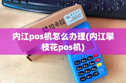 内江pos机怎么办理(内江攀枝花pos机)