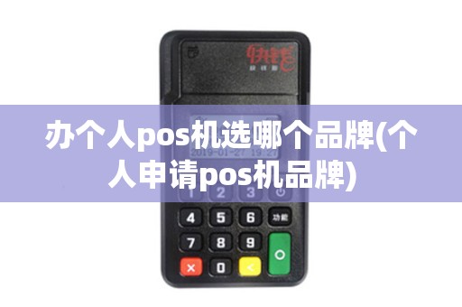 办个人pos机选哪个品牌(个人申请pos机品牌)