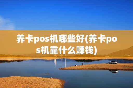 养卡pos机哪些好(养卡pos机靠什么赚钱)