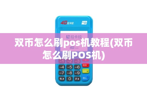 双币怎么刷pos机教程(双币怎么刷POS机)
