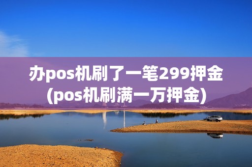 办pos机刷了一笔299押金(pos机刷满一万押金)