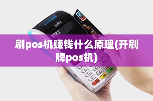 刷pos机赚钱什么原理(开刷牌pos机)