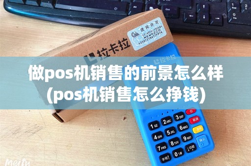 做pos机销售的前景怎么样(pos机销售怎么挣钱)