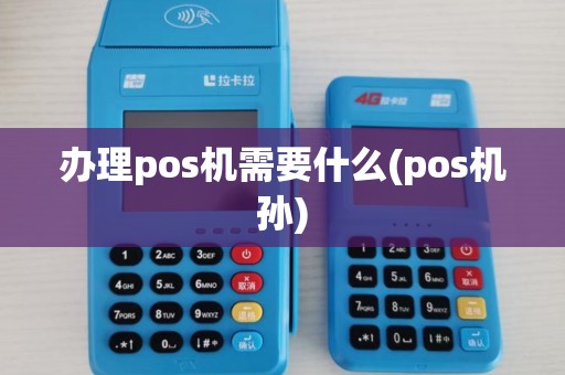 办理pos机需要什么(pos机孙)