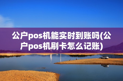 公户pos机能实时到账吗(公户pos机刷卡怎么记账)