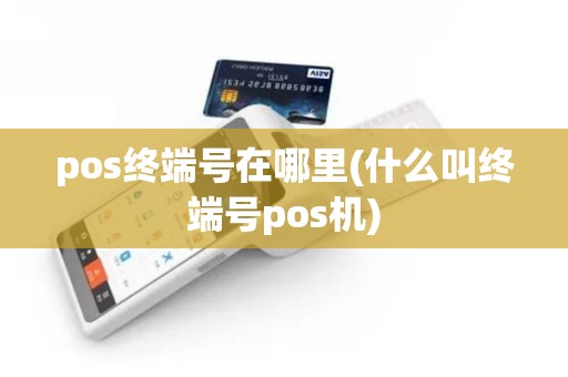 pos终端号在哪里(什么叫终端号pos机)