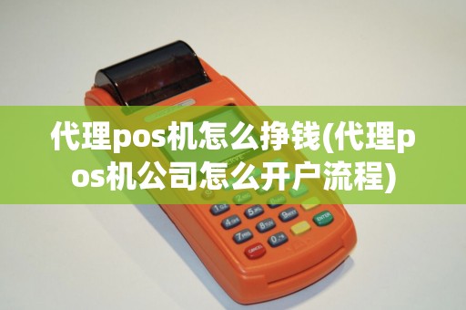 代理pos机怎么挣钱(代理pos机公司怎么开户流程)