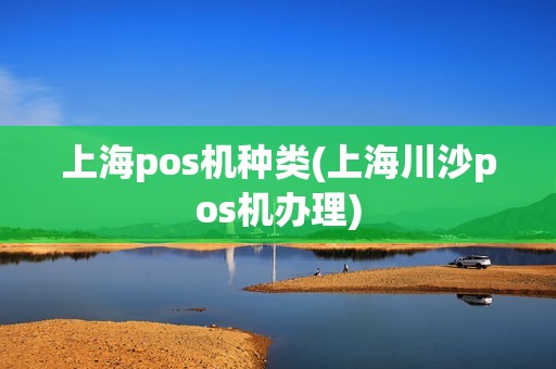 上海pos机种类(上海川沙pos机办理)