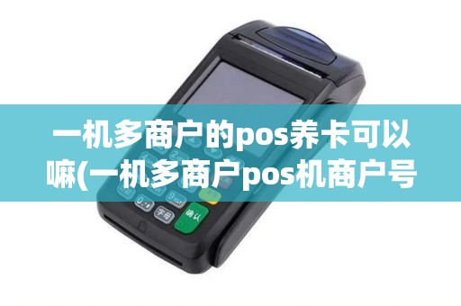 一机多商户的pos养卡可以嘛(一机多商户pos机商户号变吗)