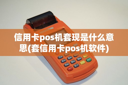 信用卡pos机套现是什么意思(套信用卡pos机软件)