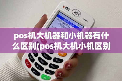 pos机大机器和小机器有什么区别(pos机大机小机区别是什么)