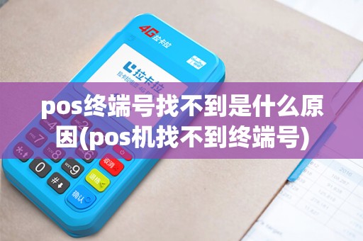 pos终端号找不到是什么原因(pos机找不到终端号)