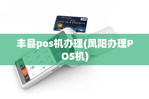 丰县pos机办理(凤阳办理POS机)