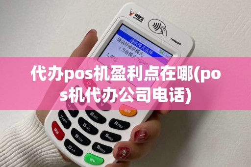 代办pos机盈利点在哪(pos机代办公司电话)