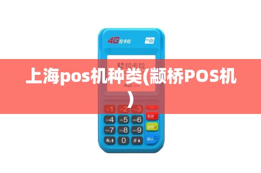 上海pos机种类(颛桥POS机)