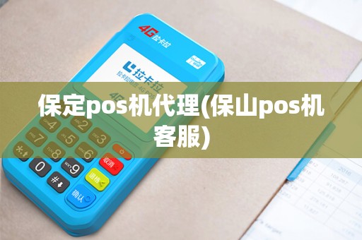 保定pos机代理(保山pos机客服)