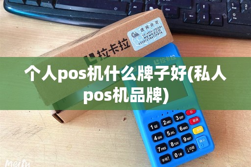 个人pos机什么牌子好(私人pos机品牌)