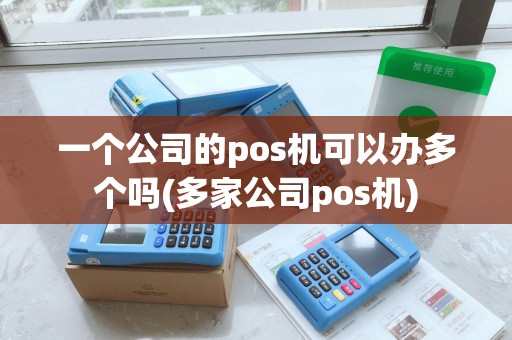 一个公司的pos机可以办多个吗(多家公司pos机)