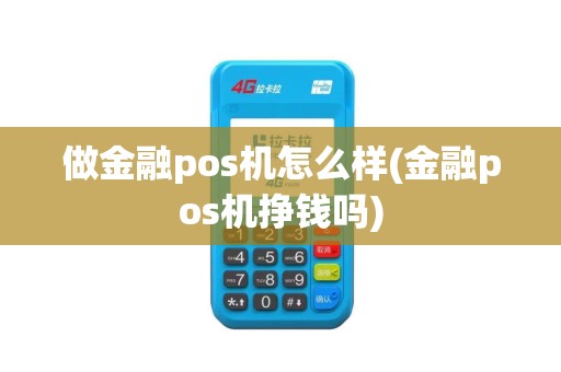 做金融pos机怎么样(金融pos机挣钱吗)