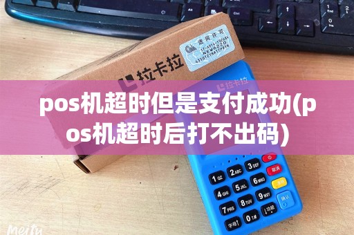 pos机超时但是支付成功(pos机超时后打不出码)