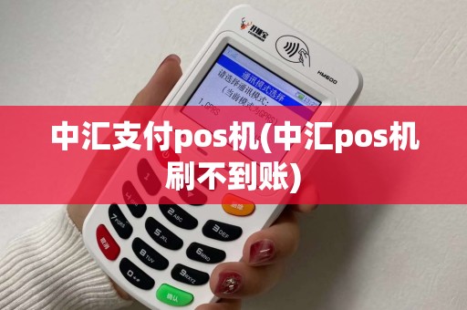 中汇支付pos机(中汇pos机刷不到账)