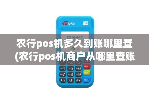 农行pos机多久到账哪里查(农行pos机商户从哪里查账)