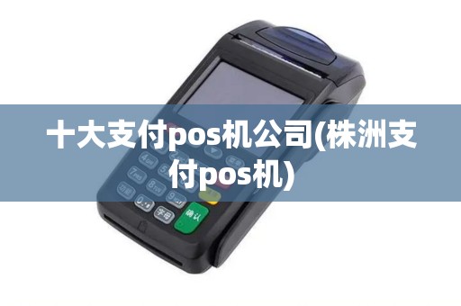 十大支付pos机公司(株洲支付pos机)