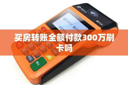 买房转账全额付款300万刷卡吗