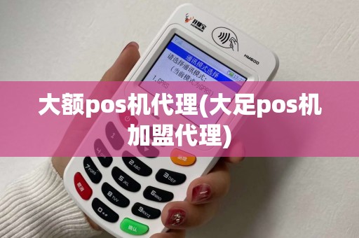 大额pos机代理(大足pos机加盟代理)