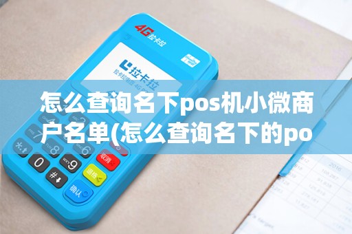 怎么查询名下pos机小微商户名单(怎么查询名下的pos机)