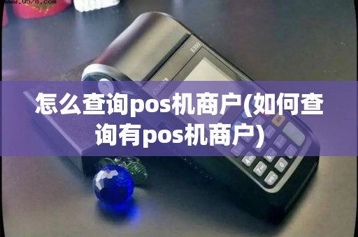 怎么查询pos机商户(如何查询有pos机商户)