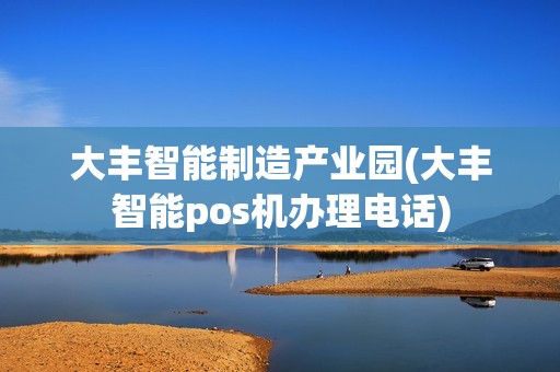 大丰智能制造产业园(大丰智能pos机办理电话)