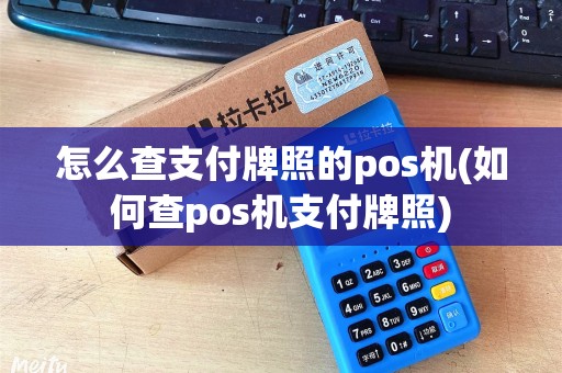 怎么查支付牌照的pos机(如何查pos机支付牌照)