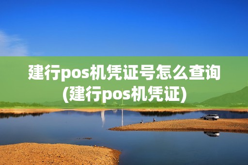 建行pos机凭证号怎么查询(建行pos机凭证)