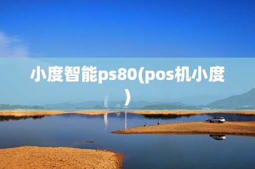 小度智能ps80(pos机小度)
