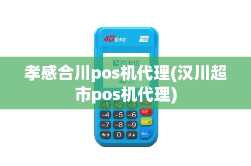孝感合川pos机代理(汉川超市pos机代理)