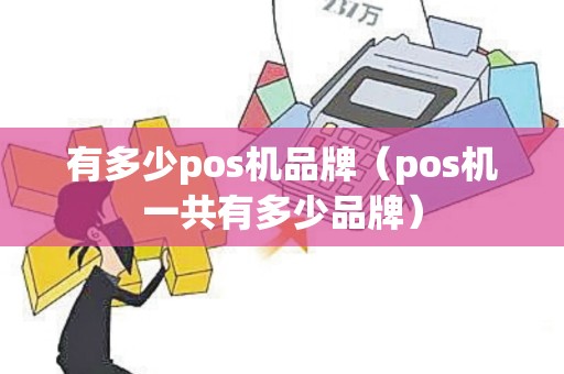 有多少pos机品牌（pos机一共有多少品牌）