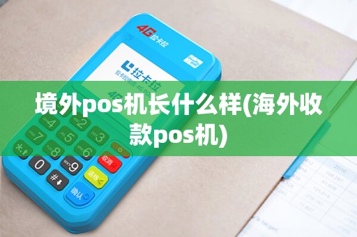 境外pos机长什么样(海外收款pos机)