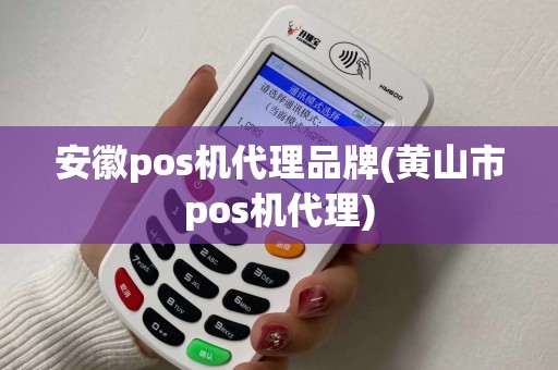 安徽pos机代理品牌(黄山市pos机代理)