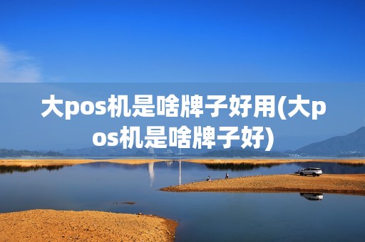大pos机是啥牌子好用(大pos机是啥牌子好)